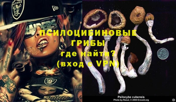 твердый Алексеевка