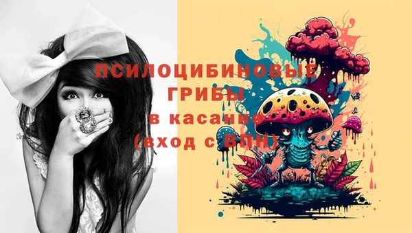 бошки Алзамай