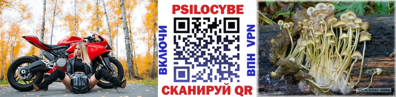 blacksprut как зайти  shop телеграм  Галлюциногенные грибы Psilocybine cubensis  наркотики  Безенчук 